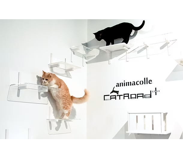 アニマコレ animacolle キャットロードプラス 3点セット猫用品